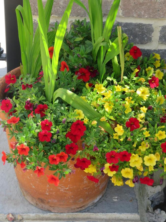 Little Orchard Apartment Pont Yates エクステリア 写真