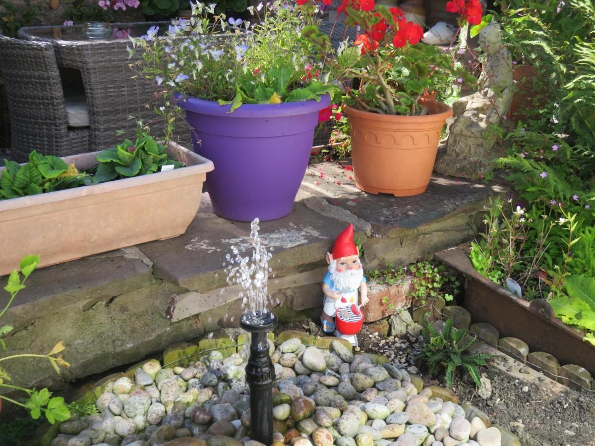 Little Orchard Apartment Pont Yates エクステリア 写真