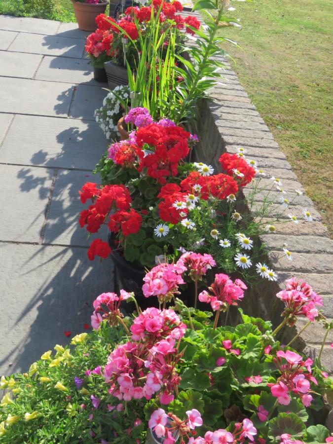 Little Orchard Apartment Pont Yates エクステリア 写真