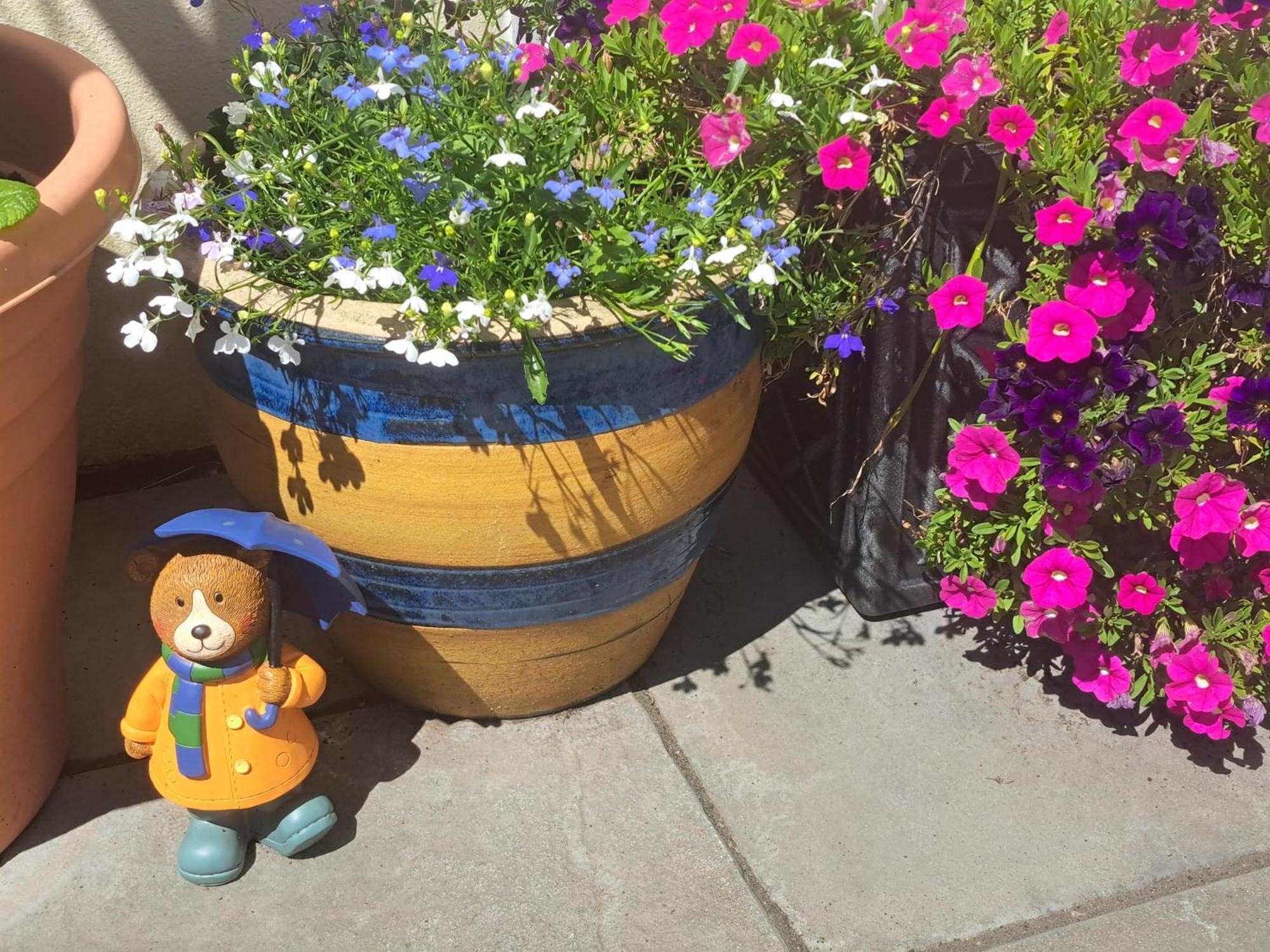 Little Orchard Apartment Pont Yates エクステリア 写真