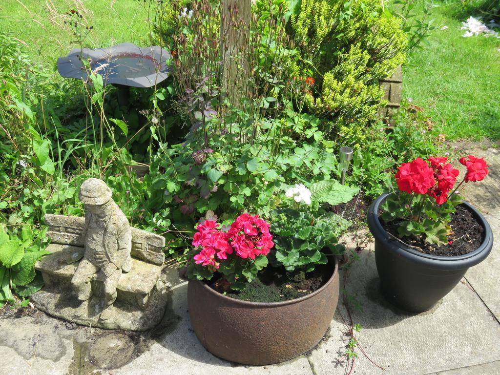 Little Orchard Apartment Pont Yates エクステリア 写真