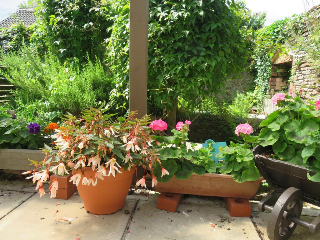 Little Orchard Apartment Pont Yates エクステリア 写真