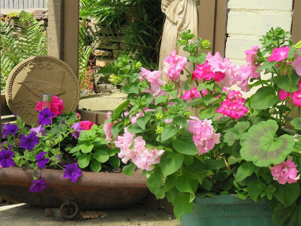 Little Orchard Apartment Pont Yates エクステリア 写真