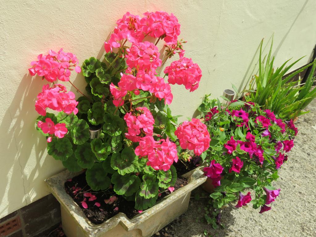 Little Orchard Apartment Pont Yates エクステリア 写真