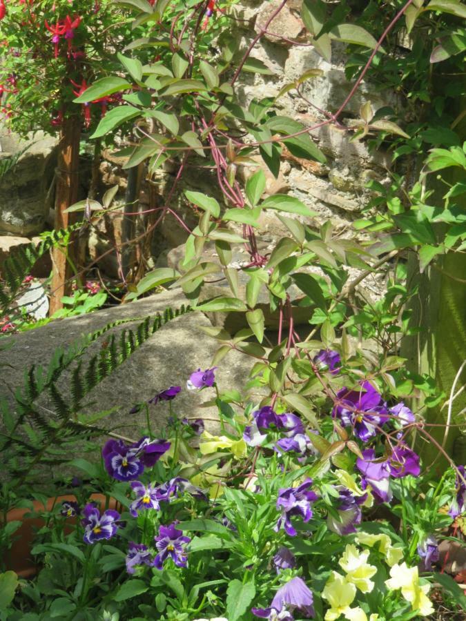 Little Orchard Apartment Pont Yates エクステリア 写真